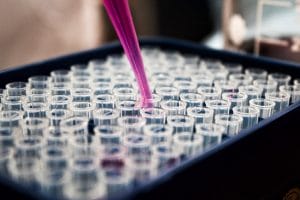 A close-up of a pink liquid being dispensed from a pipette into a tray filled with clear plastic test tubes, suggesting a laboratory or scientific experiment setting.