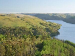 A wide river curves through a lush green valley with rolling hills and scattered trees under a clear blue sky.