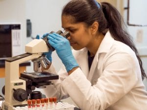 A person wearing a lab coat and blue gloves looks into a microscope in a laboratory. Test tubes with red caps are lined up in a rack on the table next to them.