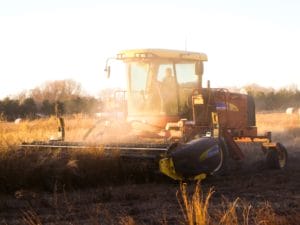 A yellow combine harvester operates in a sunlit field, cutting tall grass or crops. Dust rises around the machine as it moves forward, with trees and hay bales visible in the background.