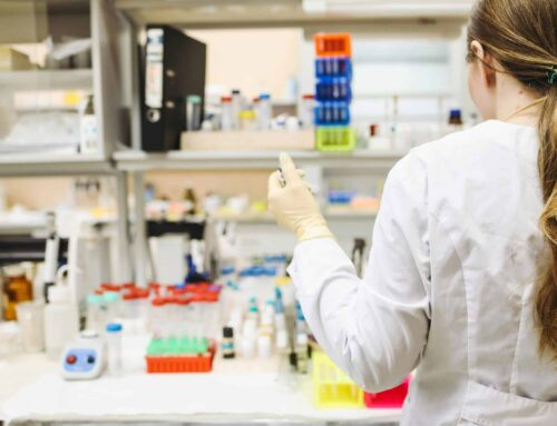 Sciencewise announces the new public dialogue exploring the 14-day rule for human embryo research with Nuffield Council on Bioethics