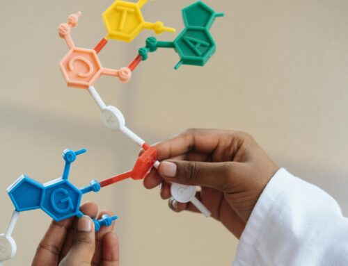 Public Dialogue and Engineering Biology: Key Insights from a Recent Roundtable
