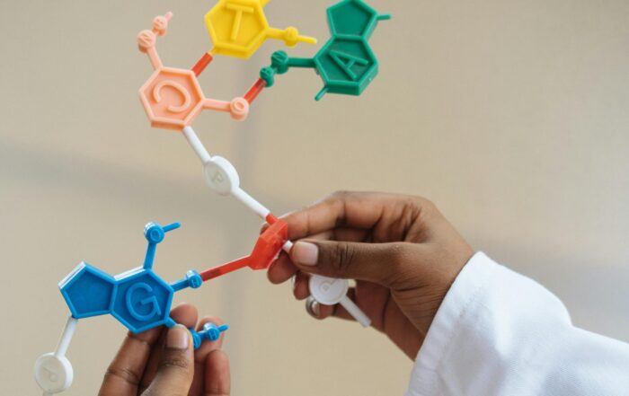 A person in a white lab coat holds a colorful DNA model made of plastic, showing connected molecules labeled A, T, C, and G, representing the DNA base pairs.