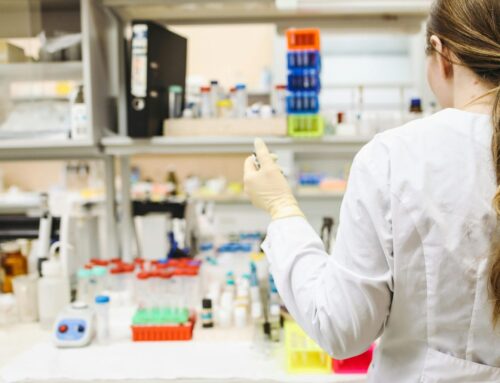 14-Day Rule for Human Embryo Research public dialogue