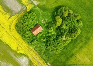 Aerial view of a small house with a red roof surrounded by dense green trees and fields of yellow flowers, creating a patch of greenery in the middle of farmland.
