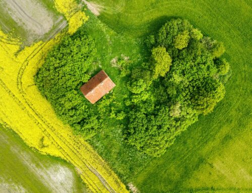 Developing a vision for delivering climate adaptation